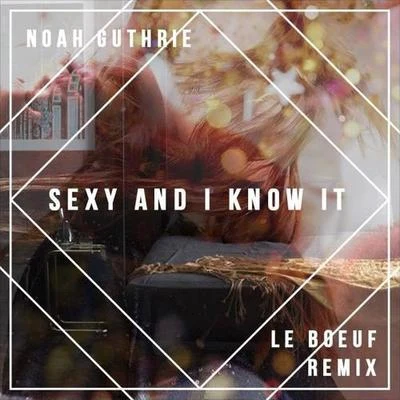 **** And I Know It (LMFAO Cover) (Le Boeuf Remix) 專輯 Le Boeuf/Fells/Joziff Jordan/Cisilia/Avalanche