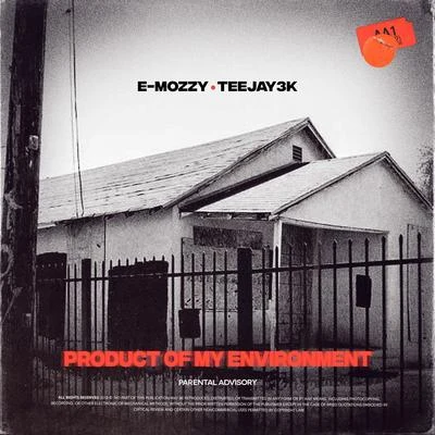 Product of My Environment 專輯 Teejay3k