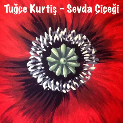 Sevda Çiçeği 專輯 Santi & Tuğçe