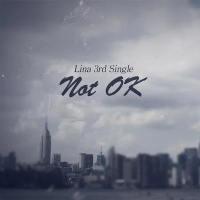 Not OK 專輯 Lina/NAVI