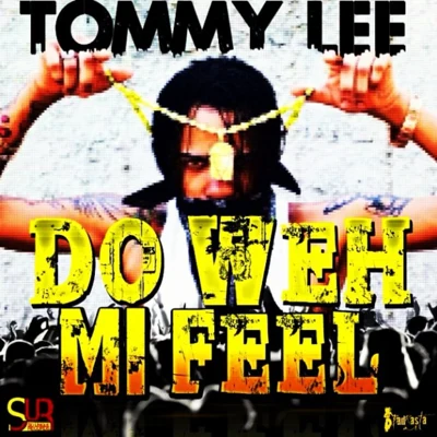 Tommy Lee Do Weh Mi Feel