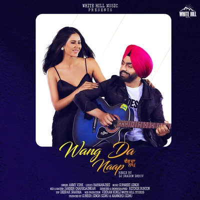 Wang Dana AP (remix version) 專輯 Ammy Virk