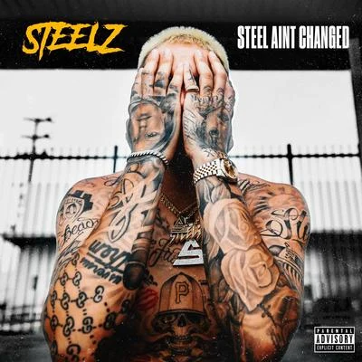 Steelz Steel Aint Changed