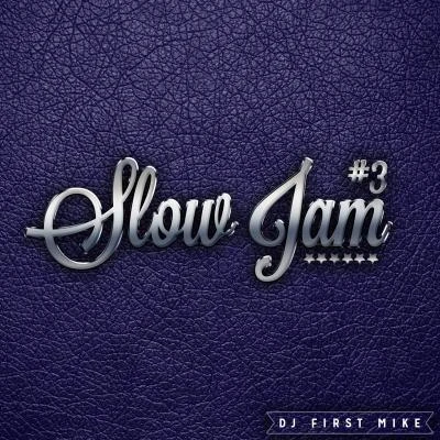 DJ First Mike Slow Jam, Vol. 3