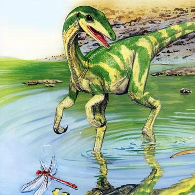 Procompsognathus 專輯 RVKIT