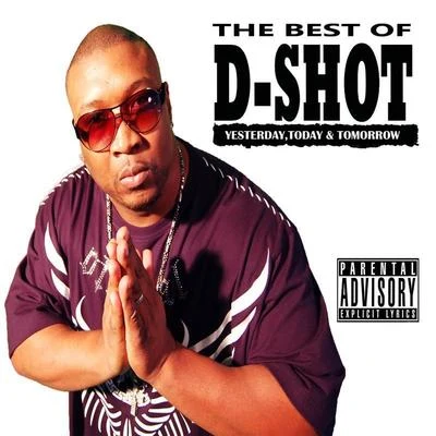 D-Shot The Best of D-Shot: Yesterday, Today, & Tomorrow