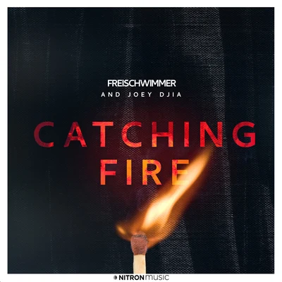 Catching Fire 专辑 JOEY DJIA