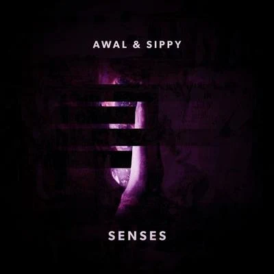 Senses 专辑 AWAL/2ble Jay