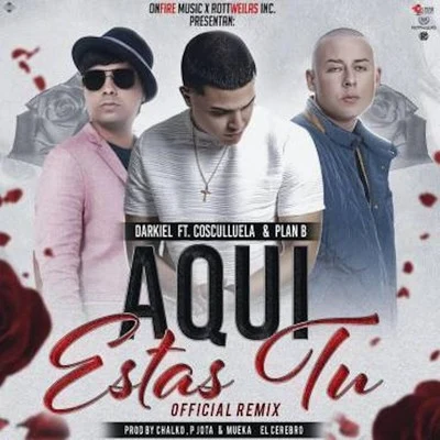 Aqui Estas Tu (Official Remix) 專輯 Darkiel