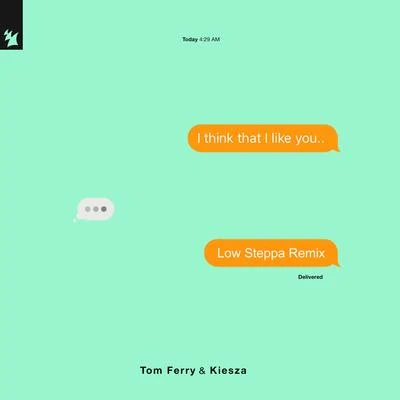 Tom FerryiLYMike Mago I Think That I Like You (Low Steppa Remix)