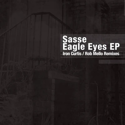 Eagle Eyes EP 專輯 Sasse/Andre Lodemann/Werner Niedermeier/Berardi/Art of Tones