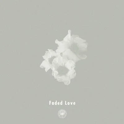 AMPMVlada Vesna Faded Love