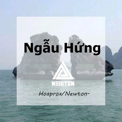 Ngẫu Hứng（Newton- Bootleg） 专辑 Newton-/JMJ/Pony_Music