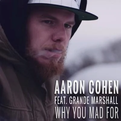 Why You Mad For 專輯 VI Seconds/Aaron Cohen