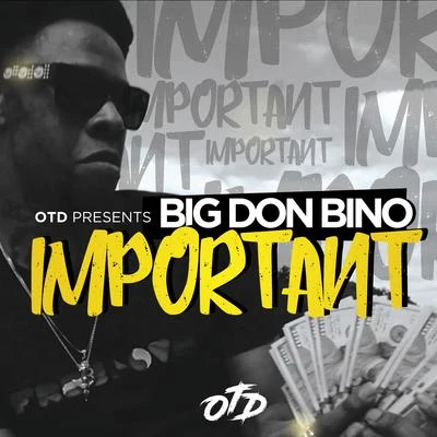 Important 專輯 Big Don Bino/Q Da Fool