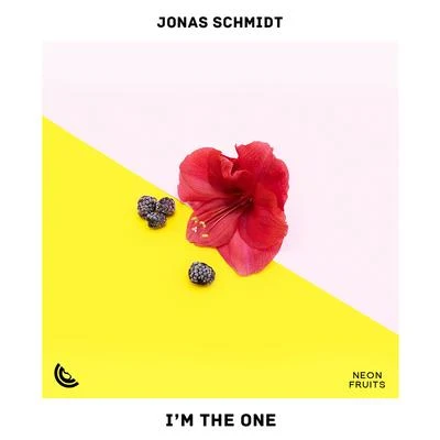 Im the One 專輯 Fenox/Jonas Schmidt/dam ICO & val ax