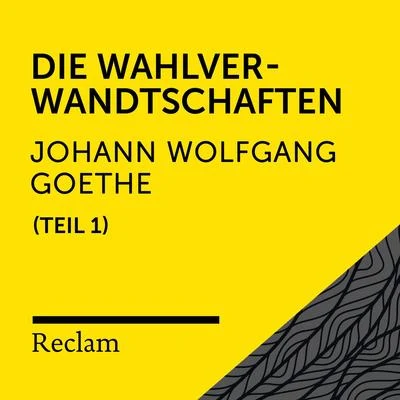 Goethe: Wilhelm Meisters Lehrjahre, I. Teil (Reclam Hörbuch) 專輯 Johann Wolfgang von Goethe