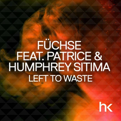 Left To Waste (Remixes) 專輯 Füchse