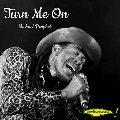 Turn Me On 專輯 Michael Prophet