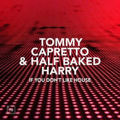 If You Don&#x27;t Like House 专辑 Tommy Capretto/Cheyne Christian/IDA fLO/Livia Andrei/Valentin Ilie