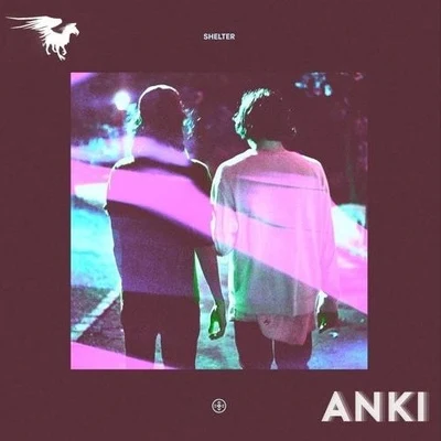 AnkiGrodko Shelter (Anki Bootleg Remix)