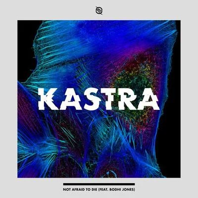 Not Afraid 專輯 KASTRA/Damien Anthony