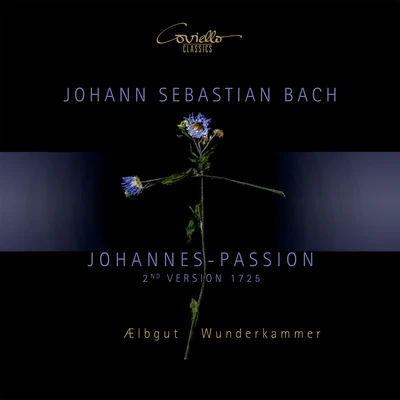 Johannespassion (2nd Version. 1725) 专辑 Sarah Perl/Martin Seemann/Mira Lange/Wunderkammer