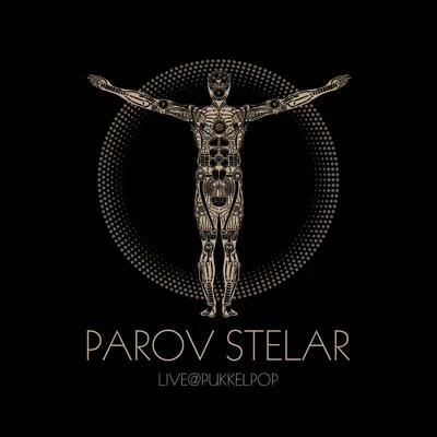 Live @ Pukkelpop 專輯 Parov Stelar