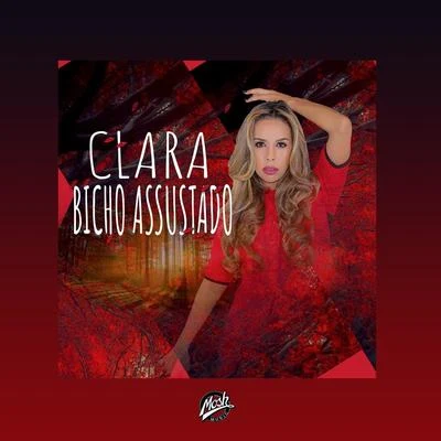 Bicho Assustado 專輯 Clara/Mr.Papa/柳熙烈