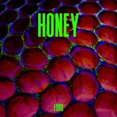 Honey 專輯 Doc Thor/Loro