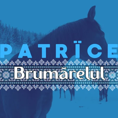 Patrice Brumarelul