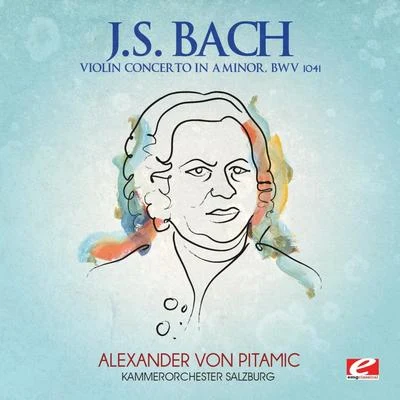 Alexander Von PitamicPyotr Ilyich TchaikovskySouth German Philharmonic Orchestra J.S. Bach: Violin Concerto in A Minor, BWV 1041 (Digitally Remastered)