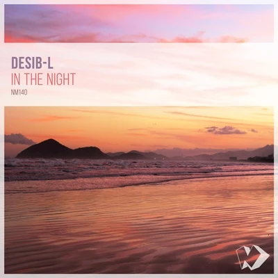 In the Night 專輯 Desib-L/Igor Kalinin/Last Midnight Train