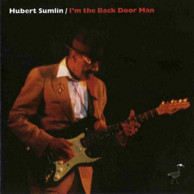 I&#x27;m The Backdoor Man 专辑 Elliott Sharp/S.P. Leary/Hubert Sumlin/Calvin "Fuzz" Jones