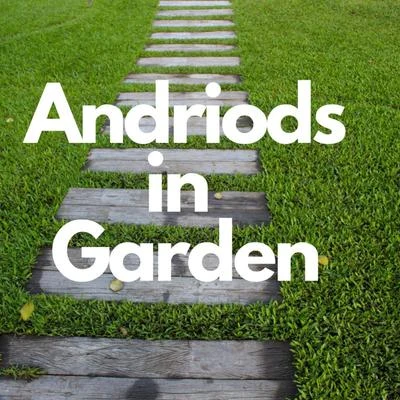 Androids In Garden 专辑 Balance/C-Raze/DavidPe/Mr. Chrizze/ThoR74