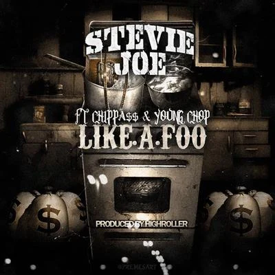 Life a Foo 专辑 Stevie Joe