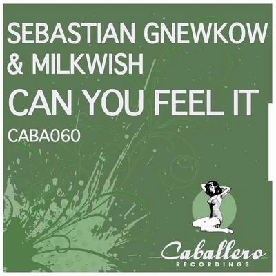 Can You Feel It 專輯 Milkwish/Sons Of Maria/Robosonic/K.E.E.N.E./Rich Vom Dorf