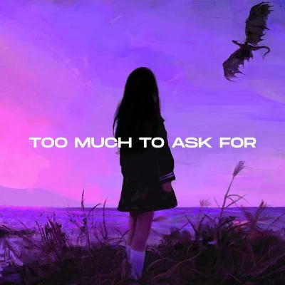 Too Much To Ask For 專輯 RMDY