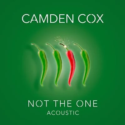 Not the One (Acoustic) 專輯 Redfield/Camden Cox