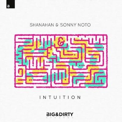 Intuition 專輯 David Novacek/Sonny Noto/Dj Nil/Danyl/Simon Groove