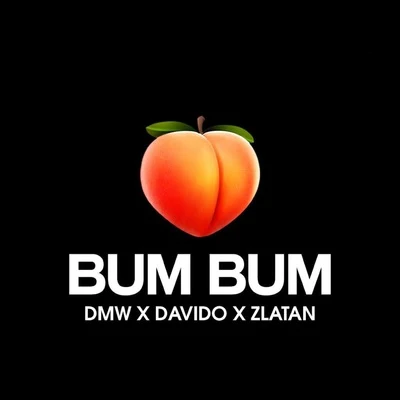 Bum Bum 專輯 Zlatan/Small Doctor/Seyi Shay/Ycee