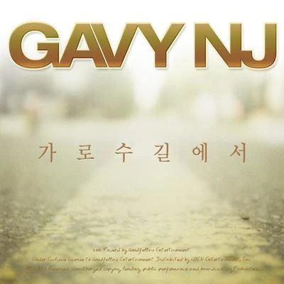 가로수길에서 专辑 Gavy NJ