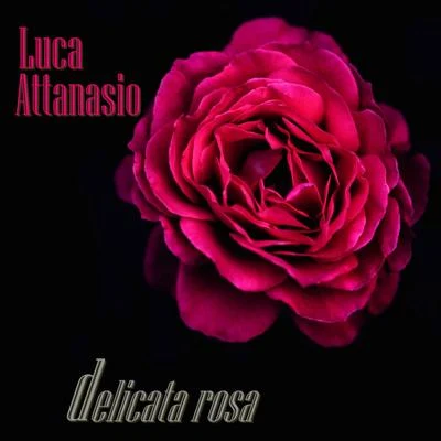 Luca Attanasio Delicata Rosa