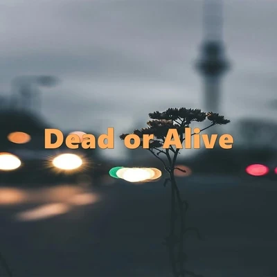 Dead or Alive (Instrumental Rap & Lofi) 專輯 Chill Hip-Hop Beats/Beats De Rap/ChillHop Beats