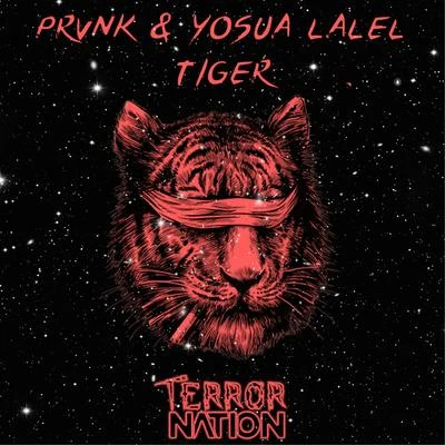 Tiger 專輯 Next Generation Noise/PRVNK