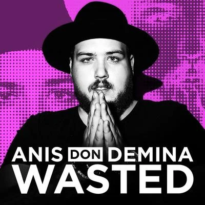 Wasted 专辑 Axel Schylström/Anis Don Demina