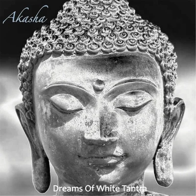 Dreams of White Tantra 专辑 Portishead/Akasha/T.Power/Howie B./DJ Food