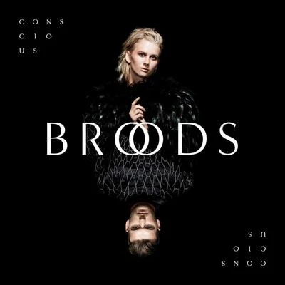 Conscious 專輯 BROODS/The Killers/Alison Wonderland/Sam Smith/Fall Out Boy