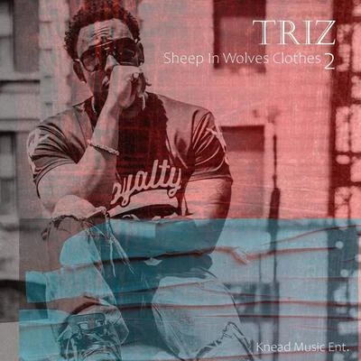 Sheep in Wolves Clothes 2 專輯 Triz/UG