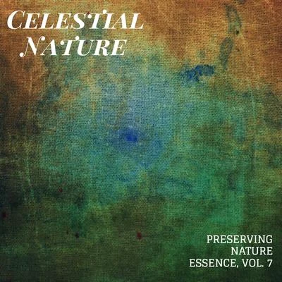 Rain Sounds For SleepMassage MusicRain and Nature Celestial Nature - Preserving Nature Essence, Vol. 7